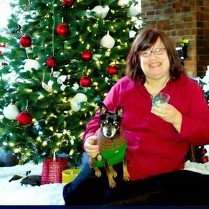 Jones New York Burgundy Button-Down Shirt Size 3X!